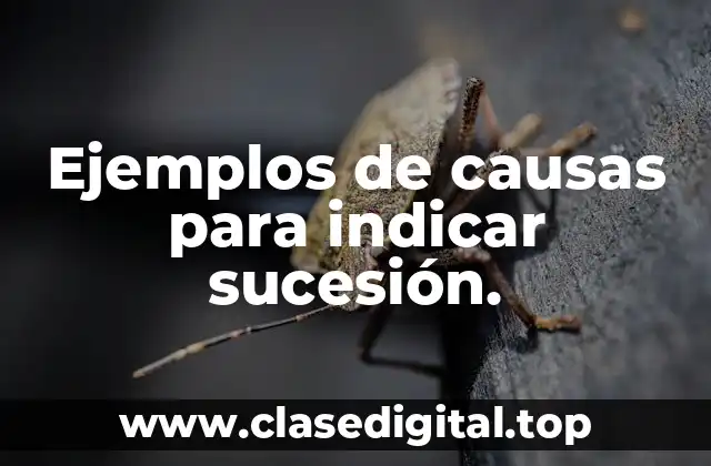 Ejemplos de causas para indicar sucesión.