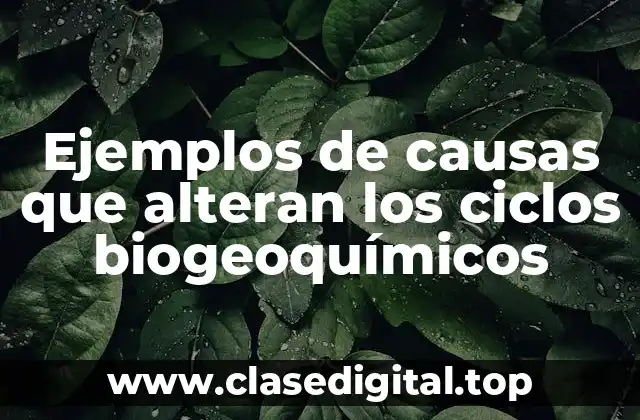 Ejemplos de causas que alteran los ciclos biogeoquímicos