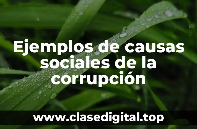 Ejemplos de causas sociales de la corrupción