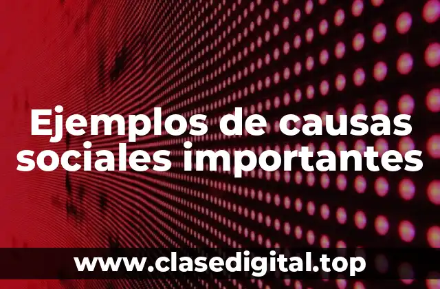 Ejemplos de causas sociales importantes