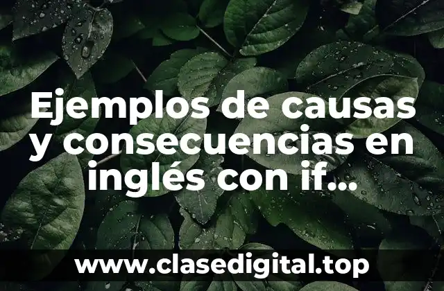 Ejemplos de causas y consecuencias en inglés con if intermedio