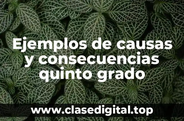 Ejemplos de causas y consecuencias quinto grado