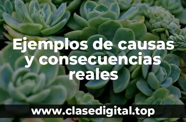 Ejemplos de causas y consecuencias reales