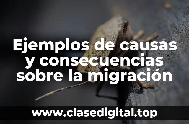 Ejemplos de causas y consecuencias sobre la migración