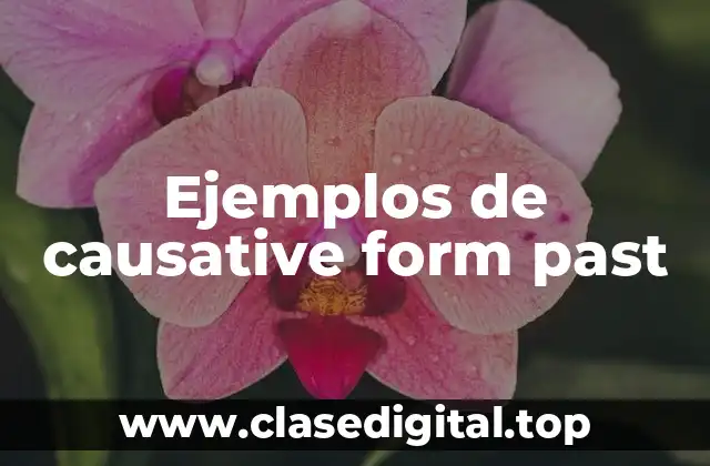 Ejemplos de causative form past