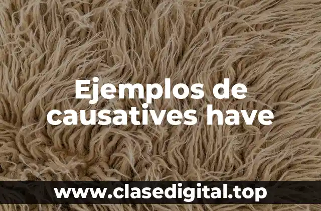 Ejemplos de causatives have