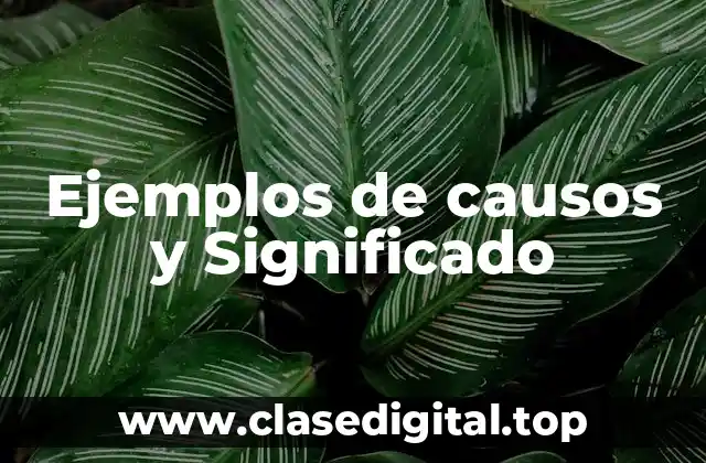 Ejemplos de causos y Significado