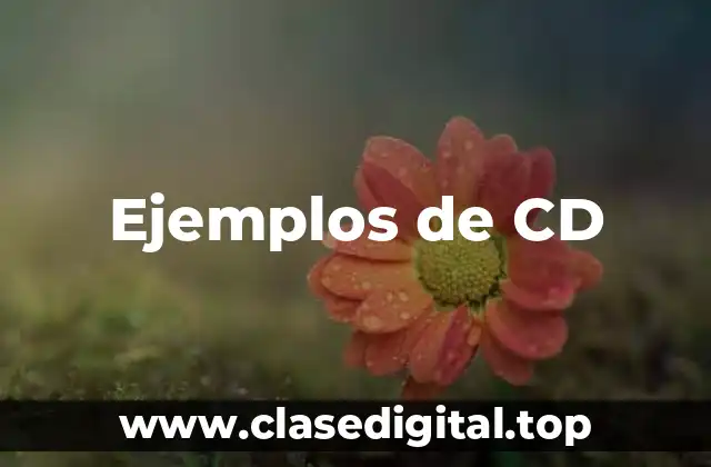 Ejemplos de CD-ROM