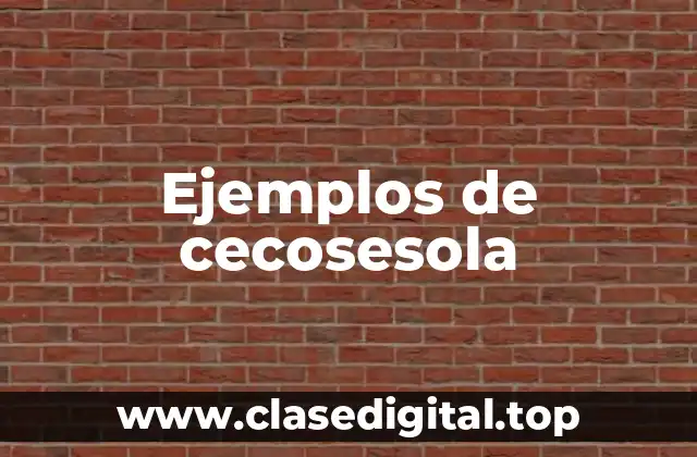 Ejemplos de cecosesola