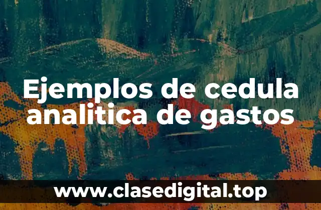 Ejemplos de cedula analitica de gastos