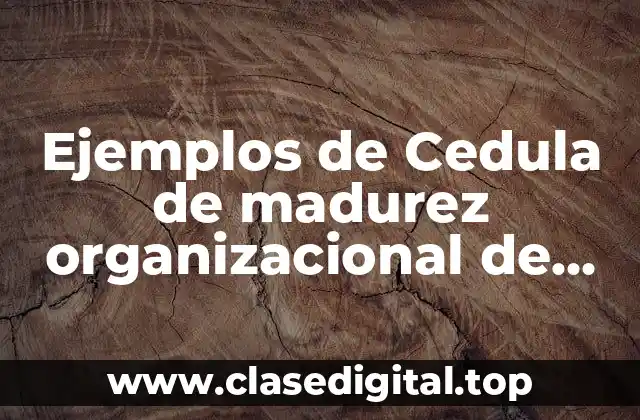 Ejemplos de Cedula de madurez organizacional de secundarias fase cero