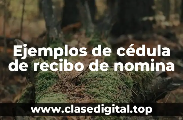 Ejemplos de cédula de recibo de nomina