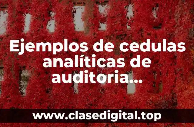 Ejemplos de cedulas analíticas de auditoria administrativa