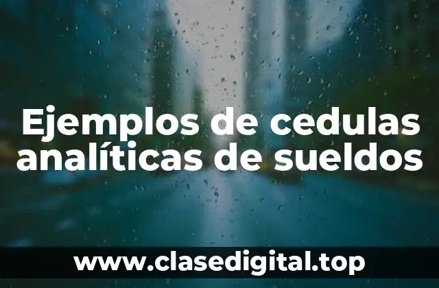 Ejemplos de cedulas analíticas de sueldos