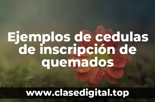 Ejemplos de cedulas de inscripción de quemados