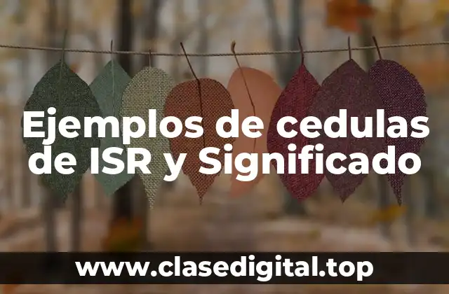 Ejemplos de cedulas de ISR y Significado