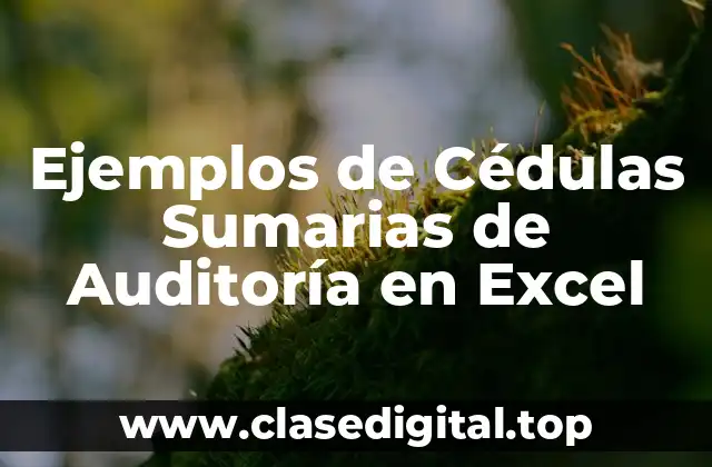 Ejemplos de Cédulas Sumarias de Auditoría en Excel