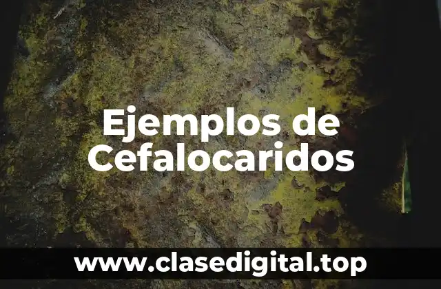 Ejemplos de Cefalocaridos