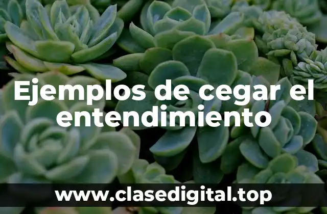 Ejemplos de cegar el entendimiento