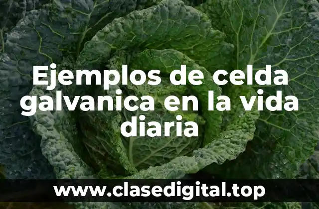 Ejemplos de celda galvanica en la vida diaria