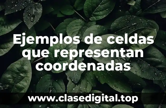 Ejemplos de celdas que representan coordenadas