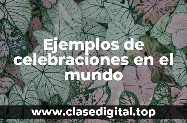 Ejemplos de celebraciones en el mundo