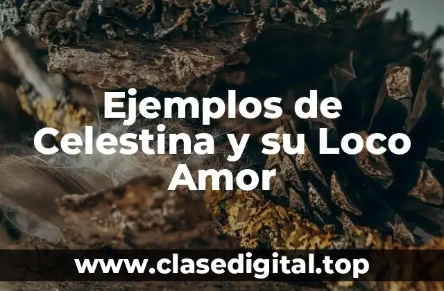 Ejemplos de Celestina y su Loco Amor