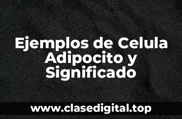 Ejemplos de Celula Adipocito y Significado