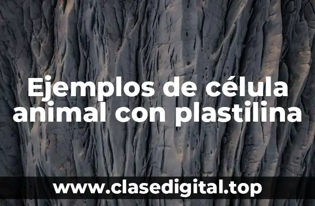 Ejemplos de célula animal con plastilina