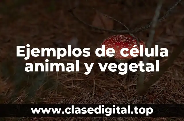 Ejemplos de célula animal y vegetal