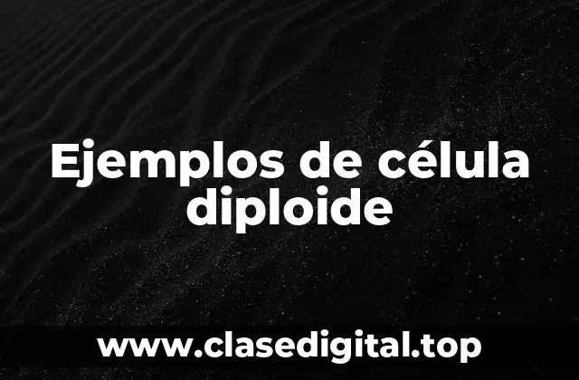 Ejemplos de célula diploide