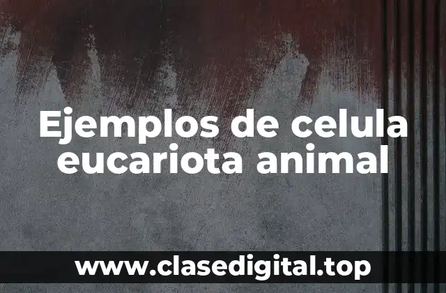 Ejemplos de celula eucariota animal