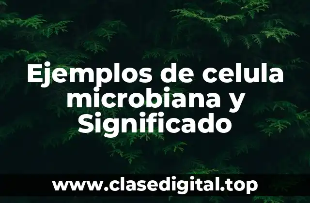 Ejemplos de celula microbiana y Significado
