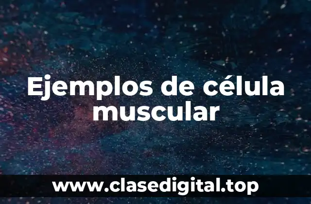 Ejemplos de célula muscular