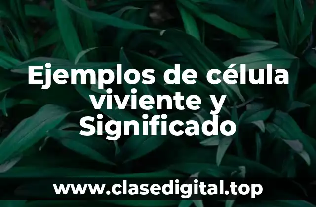 Ejemplos de célula viviente y Significado