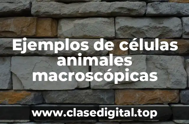 Ejemplos de células animales macroscópicas
