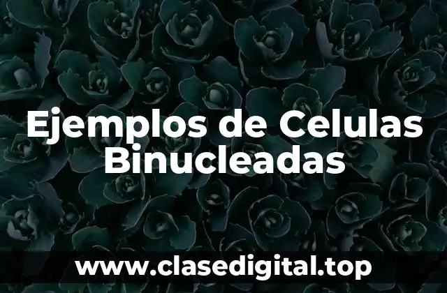 Ejemplos de Celulas Binucleadas
