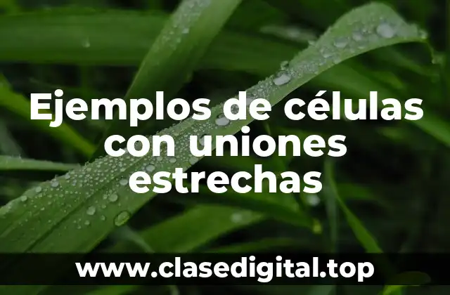 Ejemplos de células con uniones estrechas