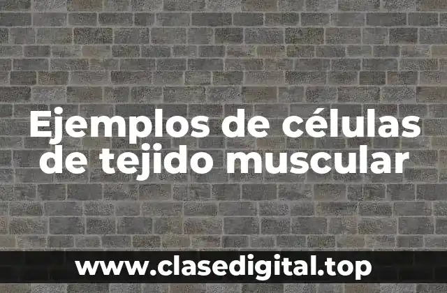 Ejemplos de células de tejido muscular