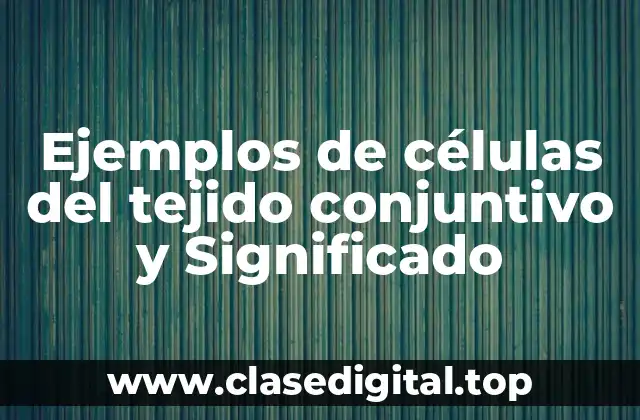 Ejemplos de células del tejido conjuntivo y Significado