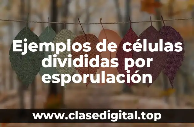 Ejemplos de células divididas por esporulación