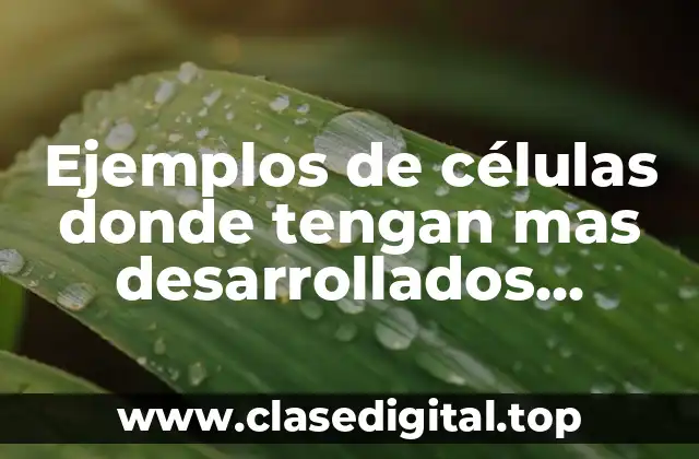 Ejemplos de células donde tengan mas desarrollados algunos orgánulos y Significado