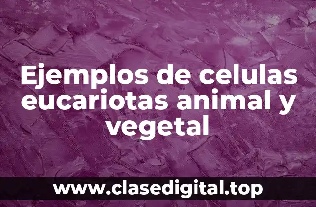 Ejemplos de células eucariotas