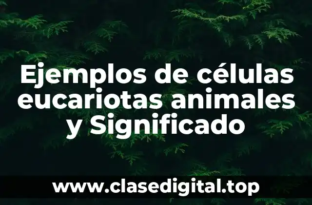 Ejemplos de células eucariotas animales y Significado