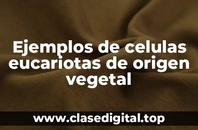 Ejemplos de celulas eucariotas de origen vegetal