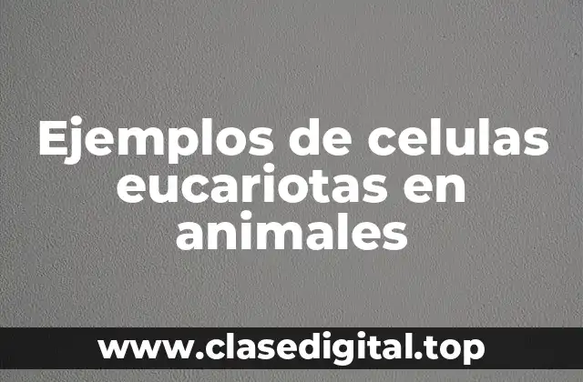 Ejemplos de celulas eucariotas en animales