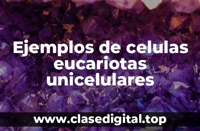 Ejemplos de celulas eucariotas unicelulares