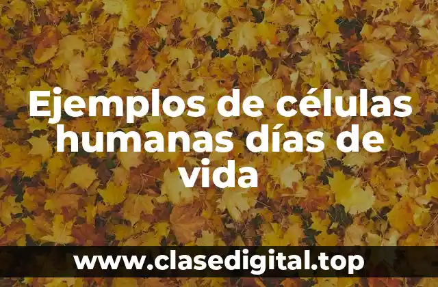 Ejemplos de células humanas días de vida