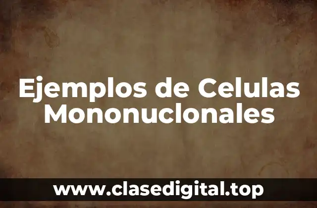 Ejemplos de Celulas Mononuclonales