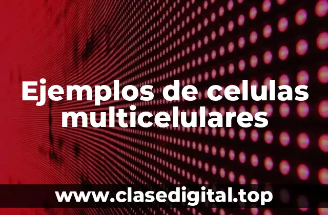 Ejemplos de celulas multicelulares